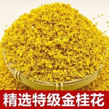 桂花干花新桂花桂林新花瓣烘焙天然免洗新鲜桂花茶泡茶散装批发厂