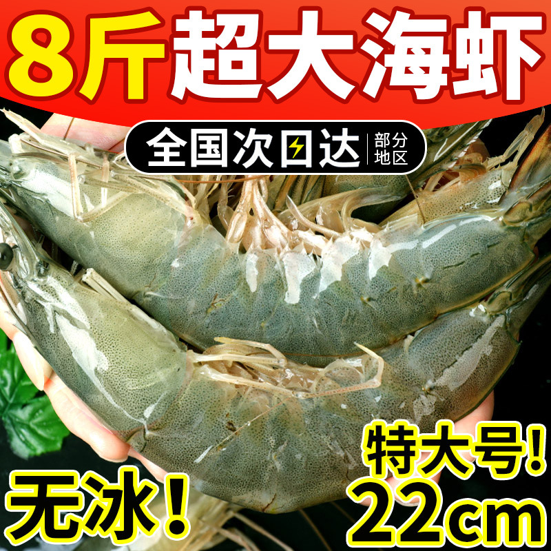 大虾鲜活超大基围虾青岛海虾特大青虾速冻海鲜水产生鲜盐冻鲜虾类