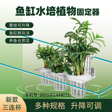 铜钱草鱼缸固定水培植物固定器壁挂可升降无土栽培水培定植篮圆形