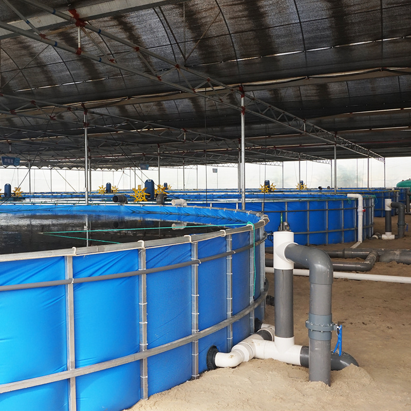 路基室内水产养殖设备 高科技渔场水产养殖系统 南美洲白对虾