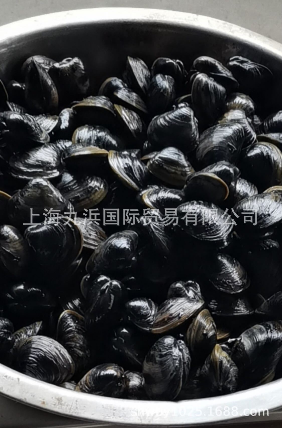 丸浜国际 国产河蚬 黑蚬子 淡水蚬子 黑蛤蜊 蚬子肉 活蚬子可出口