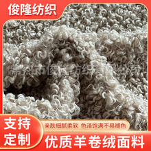 厂家供应羊卷绒面料颗粒羊绒时装外套面料羊绒圈羊卷毛绒玩具布料