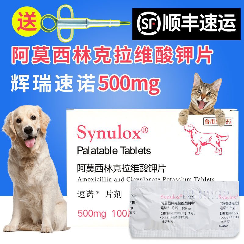 速诺感冒药宠物狗狗速诺片500mg猫用阿莫西林克拉维酸钾片兽用公