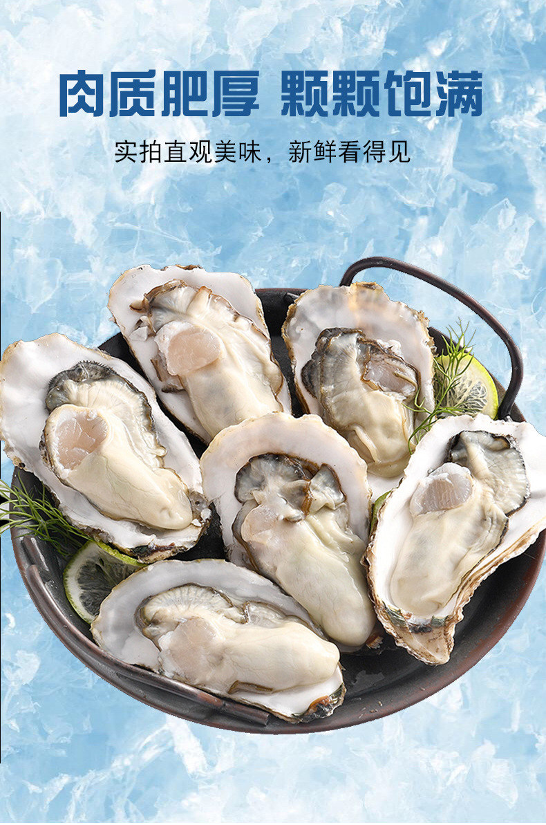 批发生蚝海鲜大个海蛎子带壳牡蛎肉新鲜水产非一整箱批发