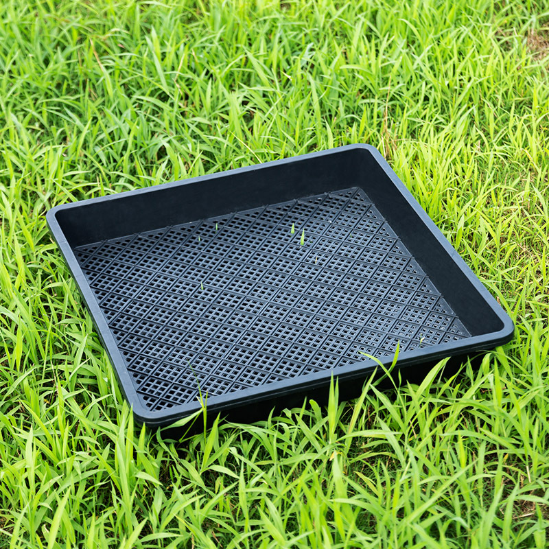 240g芽菜盘育苗盆育苗盘育水稻育秧盘苗芽菜塑料托盘抛秧盘种植器