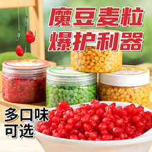 魔豆麦粒方便饵二代麦粒饵鲤鱼草鱼饵料颗粒瓶装黑科技小颗粒4味