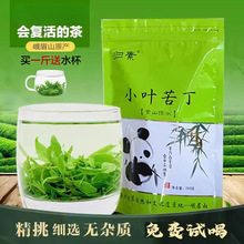 四川峨眉山绿茶新茶小叶苦丁茶野生青山绿水茶叶发酵包邮