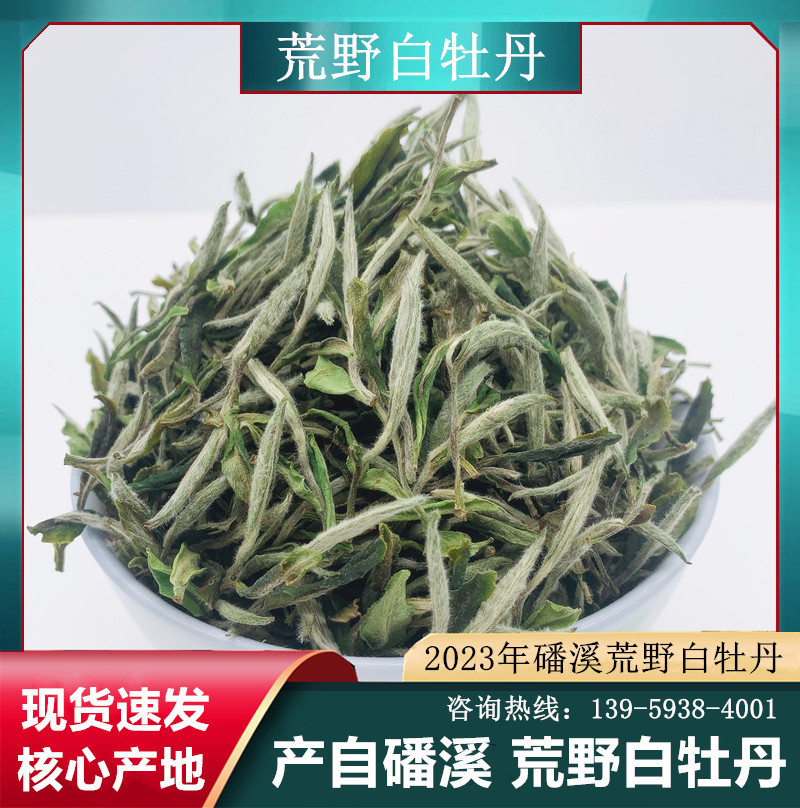 2023年磻溪荒野花香白牡丹 福鼎白茶高山一芽一叶牡丹王散装批发