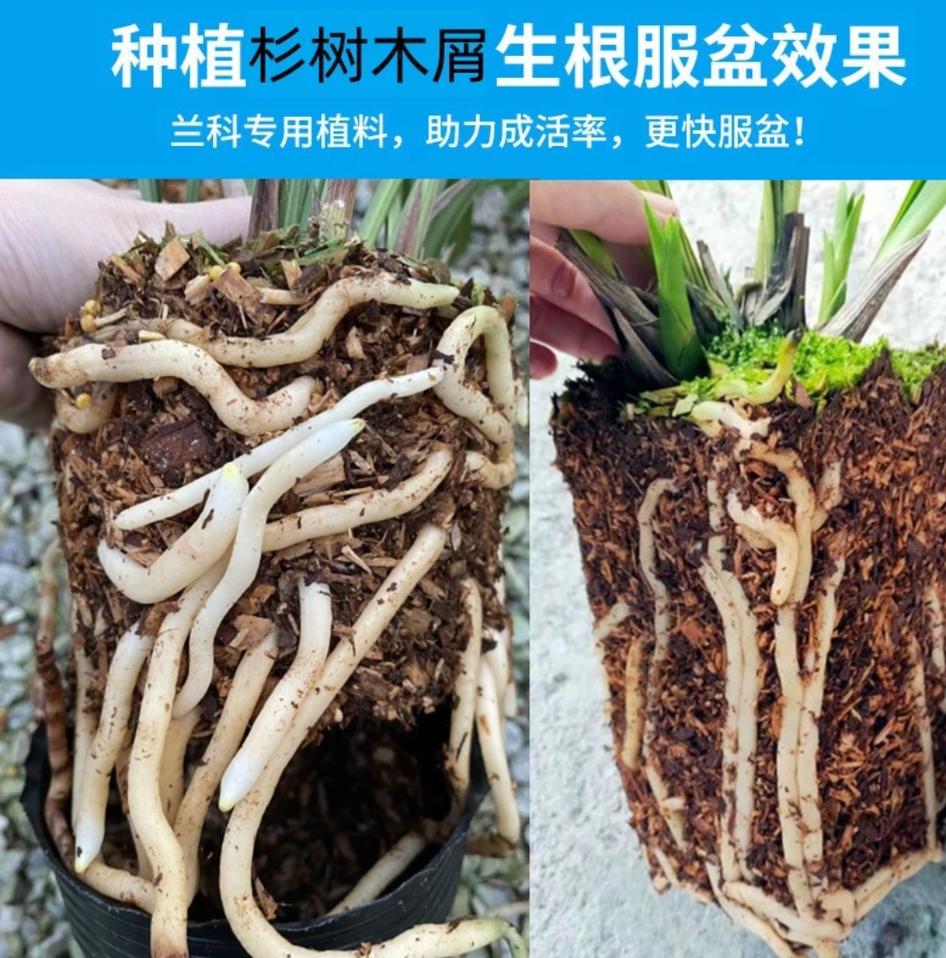 花土新型家庭养花专用土兰科植物营养土无菌种植土疏松透气不板结