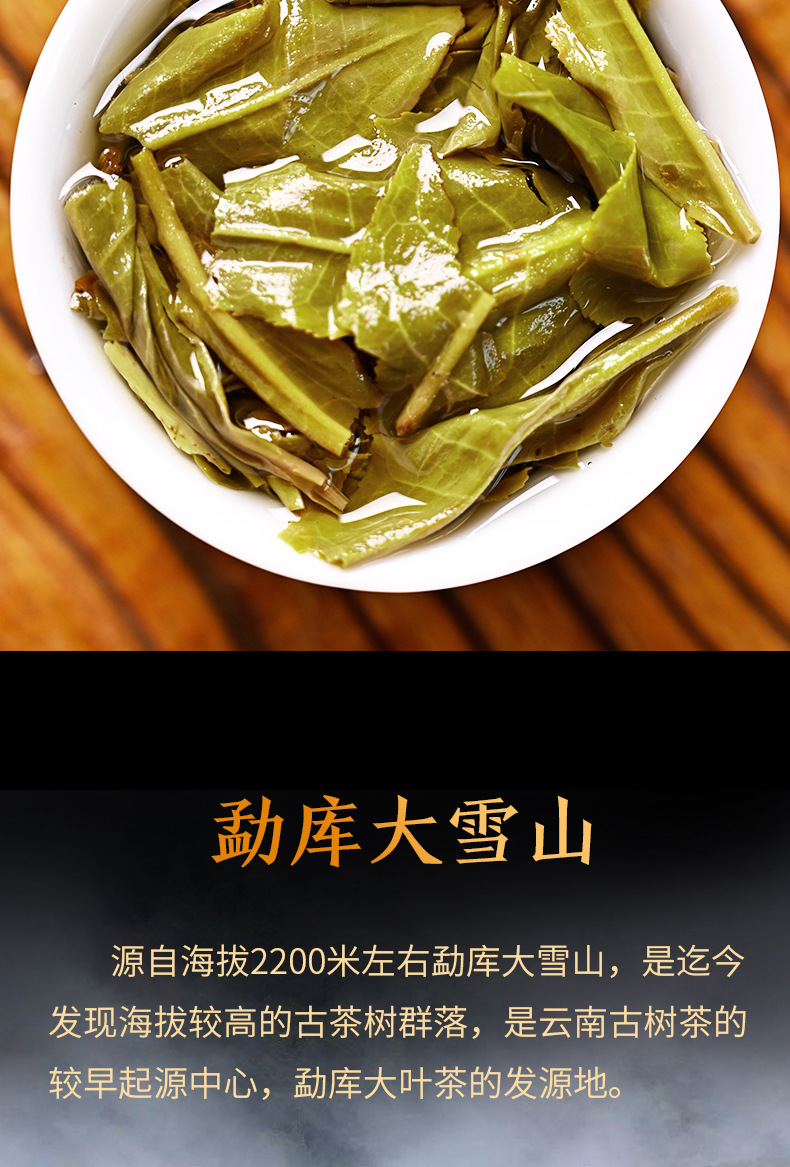 普洱茶生茶 357克大雪山古树茶2021年头春大树茶 云南七子茶饼