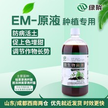 种植专用益生菌菌种生根防病微生物菌剂改良土壤营养液em原露原液