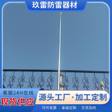 电力防雷避雷针热镀锌镀锌棒接地装置厂家批发接地针接地棒极