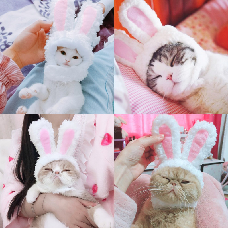 Cross-Border Cat Bunny Headgear Puppy Bichon Transformation Headdress Garfield Rabbit Ears Internet Hot Pet Hat