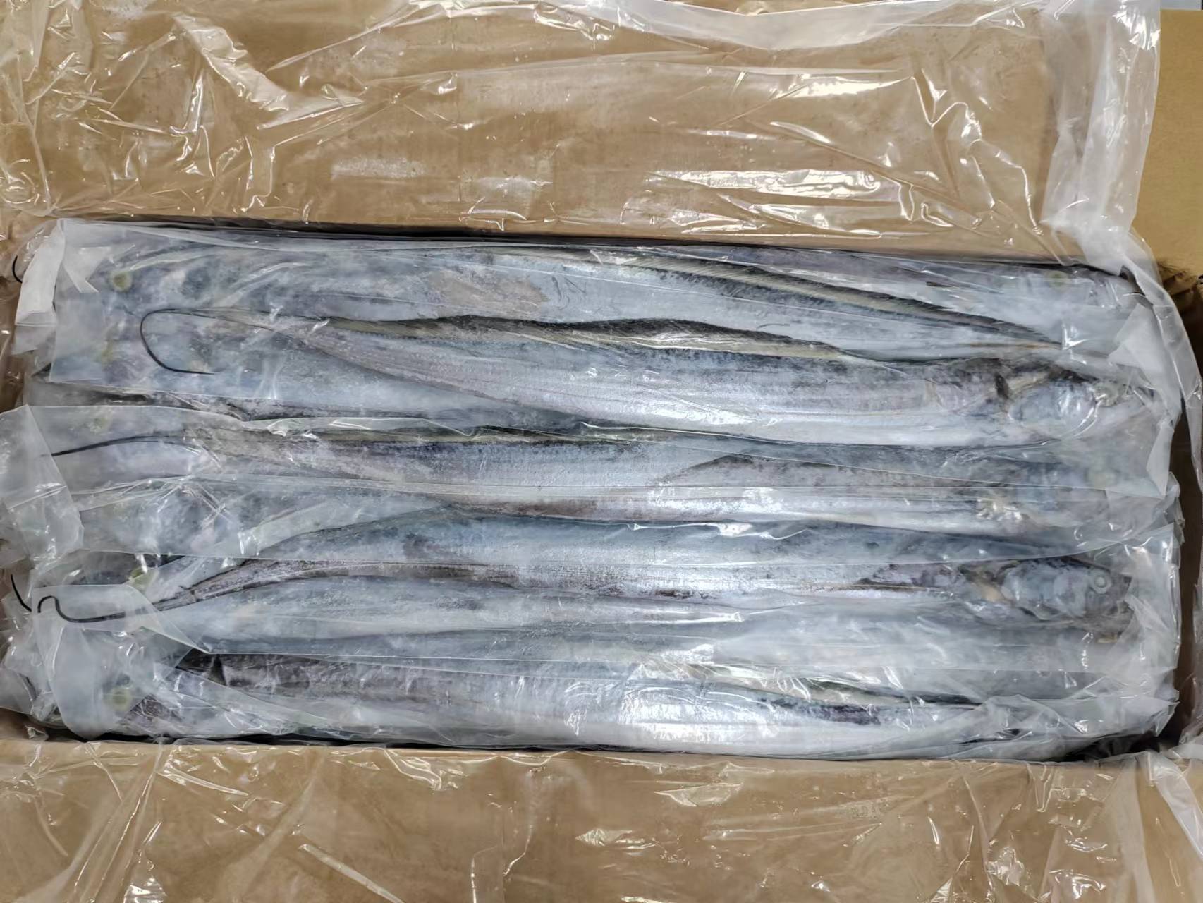 深海带鱼整条整件300/500 200/300 500/700