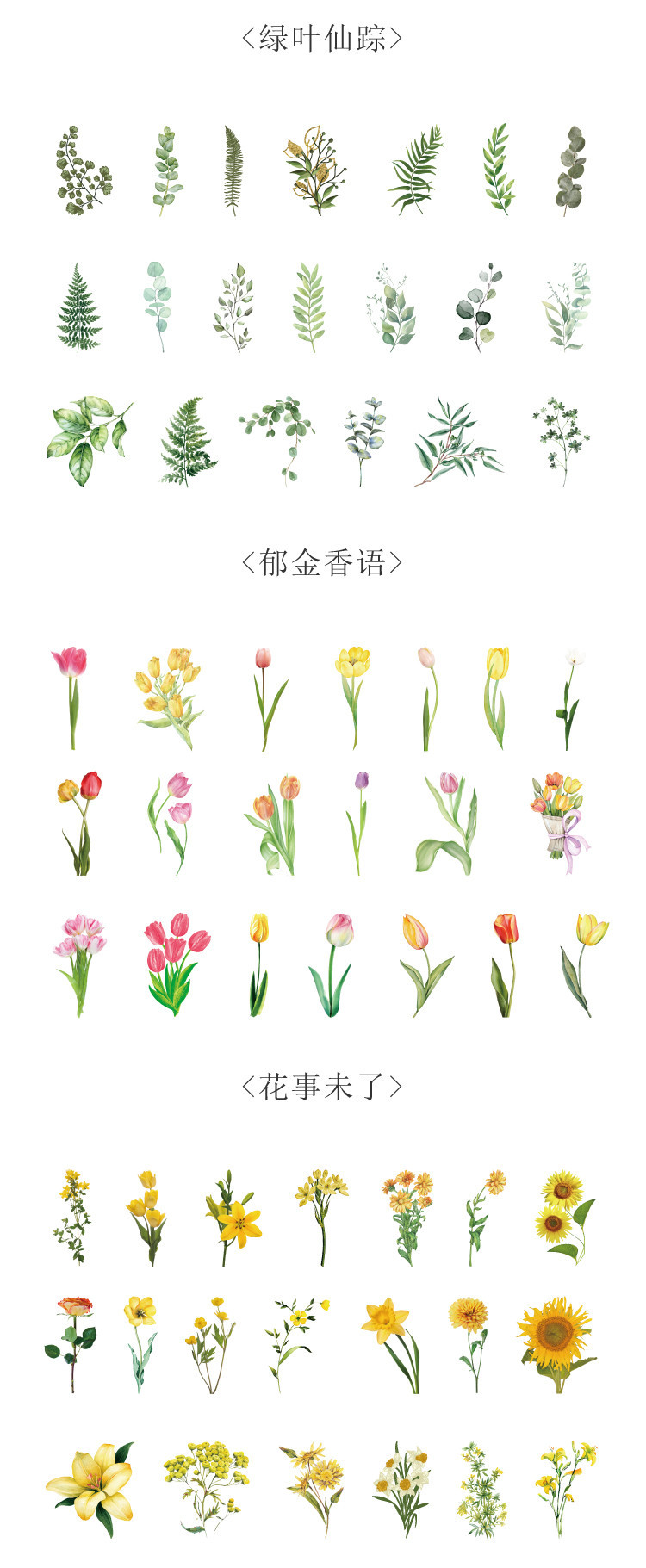 ins少女心复古植物花卉pet大贴纸手帐 透明防水diy装饰手机壳贴画