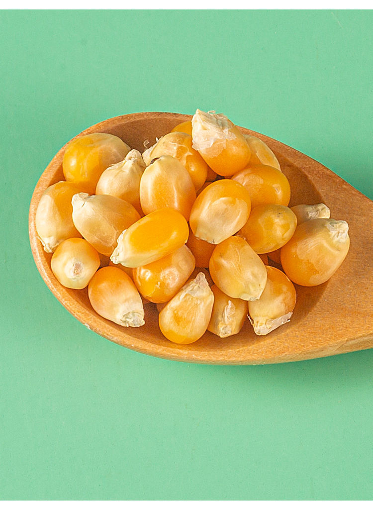 球形爆米花玉米粒商用爆裂蝶形玉米家庭自制爆米花专用玉米原料