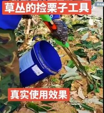 拾板栗神器捡栗子工具摘板栗剥板栗专用手套夹子打栗子杆开口器跨