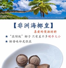 精选海椰皇迷你小椰子新鲜椰皇火锅煲汤椰子鸡煲汤料商用家常食用