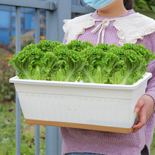 种菜盆阳台家庭蔬菜草莓专用种植箱长方形花盆塑料种菜大花盆神器
