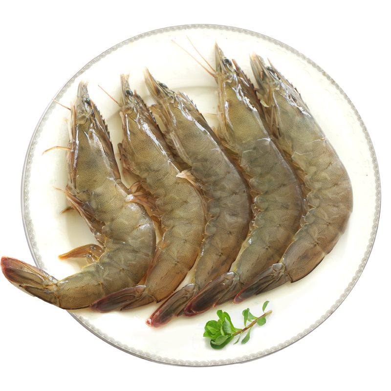 当天海捕青岛大虾4斤鲜活海鲜 新鲜白对虾基围虾活虾冷冻生鲜顺丰