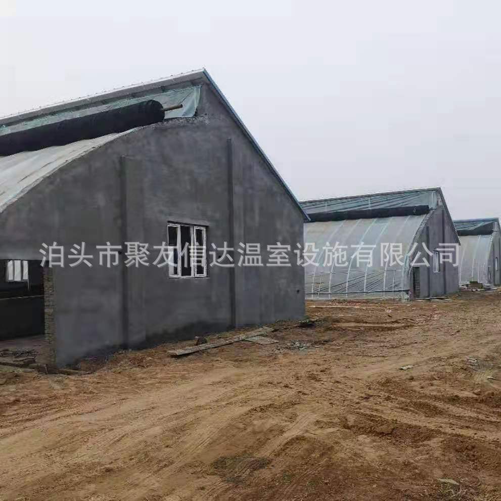 厂家设计生产建设 自动化阳光猪舍 几字钢养殖大棚 畜牧养殖大棚