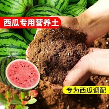 种西瓜专用营养土西瓜肥料土壤育苗土通用有机基质种植土配土瓜果