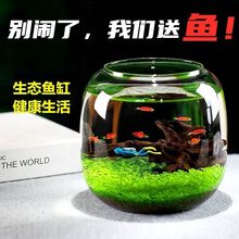 鱼缸生态鱼缸【送鱼】桌面微景观水草创意懒人小型水培造景绿植