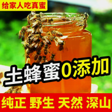 蜂蜜天然正品纯野生深山百花蜜 农家自产自销 自然成熟封盖土蜂蜜