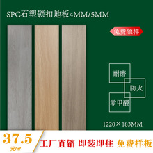 工厂直销SPC地板环保耐磨防水灰色原木色防滑锁扣石晶塑料PVC地板