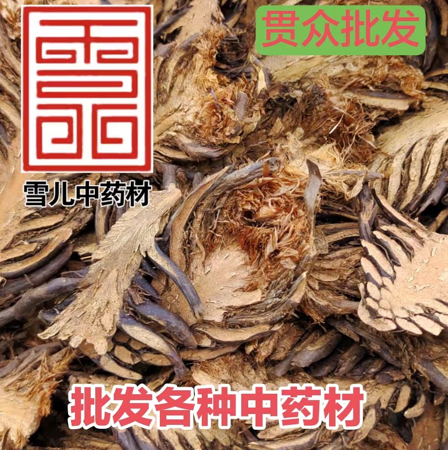 贯众 中药材贯众 无硫优质新货贯众 绵马贯众 质量保证-阿里巴巴