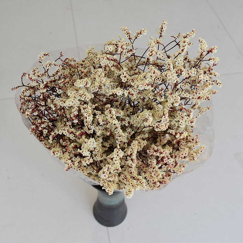 天然永生水晶草花束 文艺气质拍照道具不干枯掉真花家居饰品