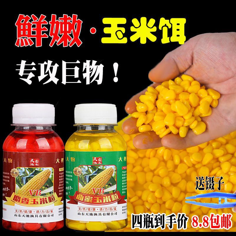 钓鱼嫩玉米粒饵料野钓鲫鱼鲤鱼鱼专用挂钩玉米麦粒湖库窝料鱼饵