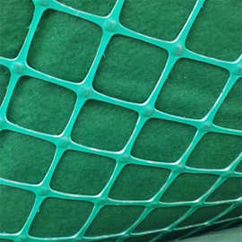 双向塑料拉伸土工格栅