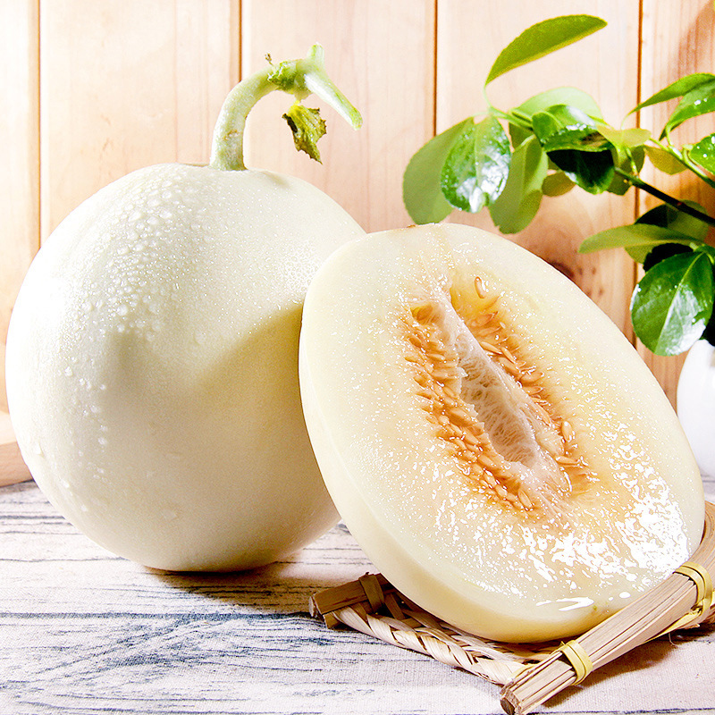 现货陕西阎良甜瓜代发新鲜头茬3/9斤香瓜水果当季白甜瓜非白玉甜