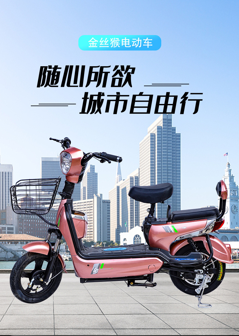厂家批发两轮金丝猴电动车成人代步可跨境48v电动自行车电瓶车