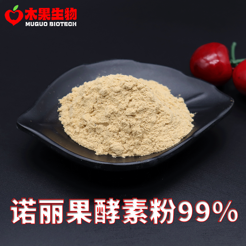 诺丽果酵素粉99诺丽果提取物食品级诺丽果粉水溶性粉末现货