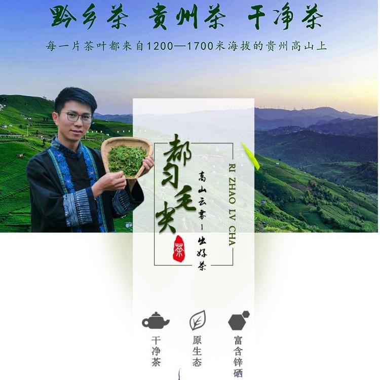 正宗都匀毛尖茶叶组合贵州绿茶早春嫩芽手工采摘原产地茶厂直销