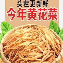 黄花菜干货500g福建特产新鲜干黄花菜金针菜毛重250g一整箱非净重