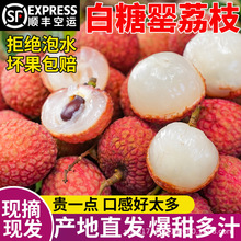 妃子笑荔枝新鲜现摘精品高端5月应季水果5斤鲜采广东白糖罂荔枝