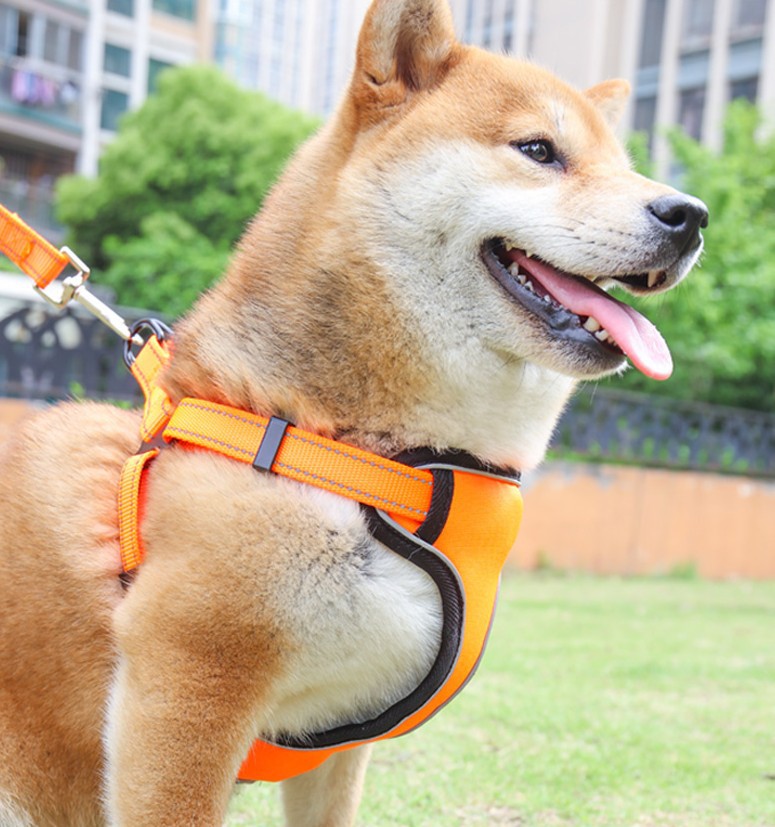 狗狗牵引绳背心式宠物胸背带大型犬柯基遛狗绳项圈小型犬泰迪用品