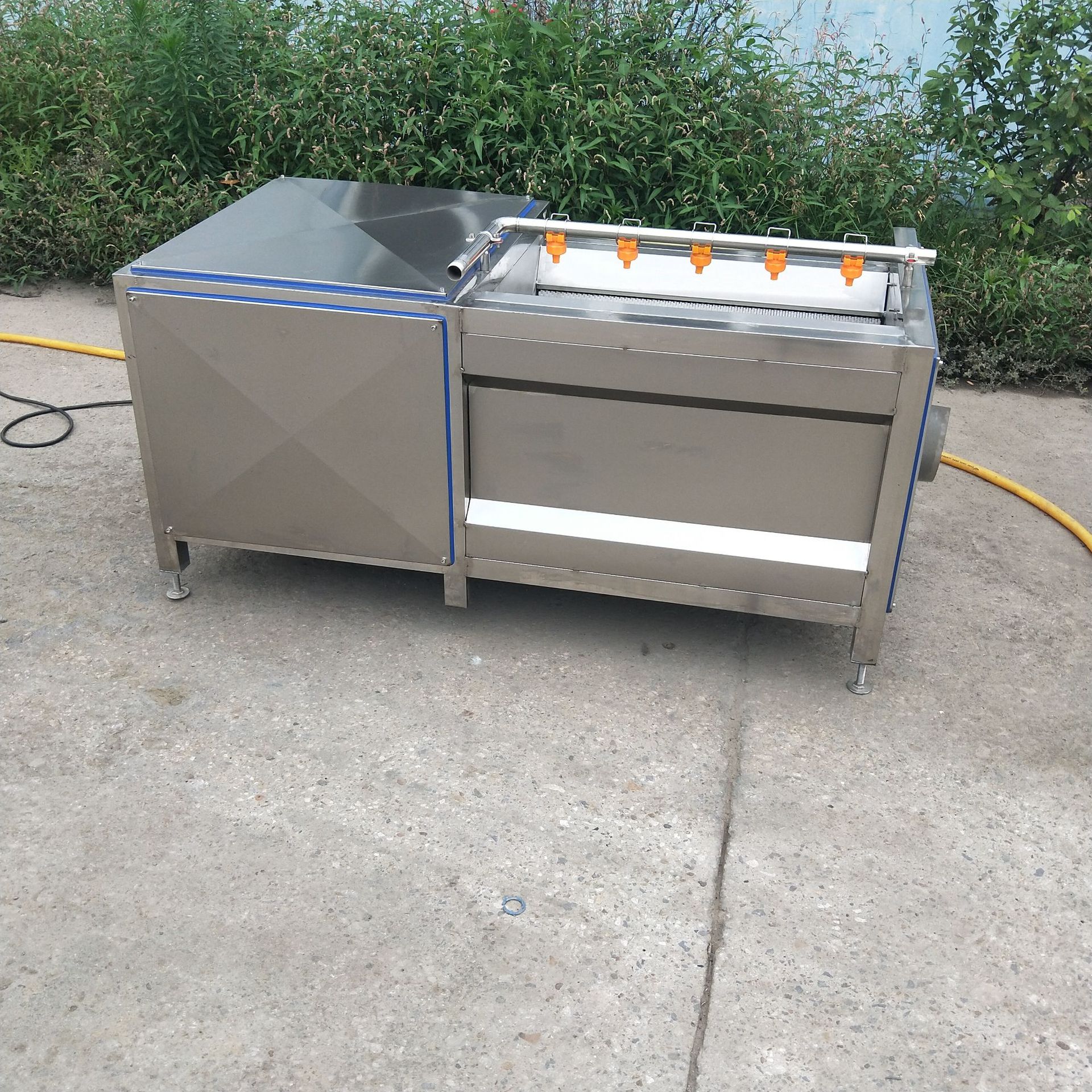 海鲜清洗去泥机 牡蛎清洗机田螺去泥清洗机 平行毛辊清洗机