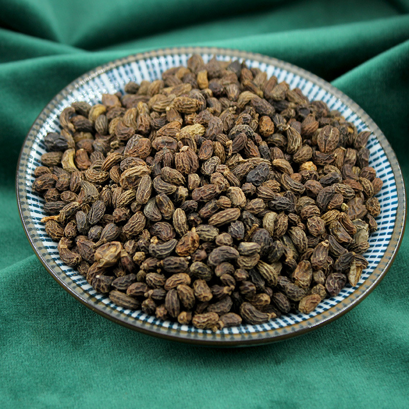 女贞子 批发中药材女贞子籽 女贞子 厂家货源 量大从优