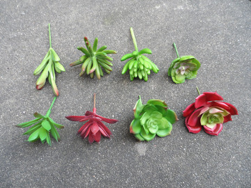 小仿真多肉植物人造假绿植组合盆栽手工diy微景观迷你绿植摆件