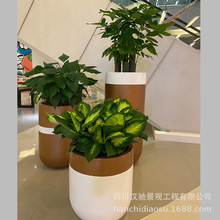 玻璃钢组合落地式花箱种植容器 玻璃钢金色成都商场美陈花器摆件