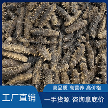 深海大乌参冻品速发海参野生海鲜参水产400克装江浙沪皖3包起包邮