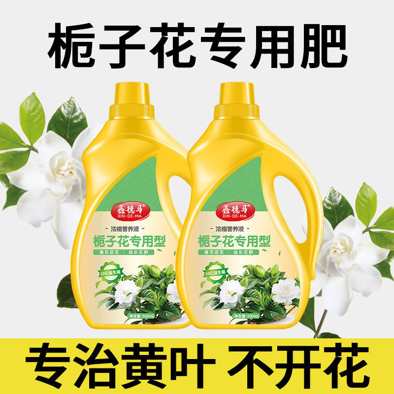 跨境栀子花肥料专用肥酸性防黄叶营养液包邮开花肥绿叶盆栽植物园