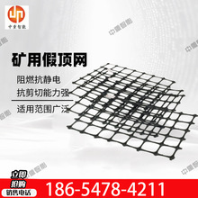 现货速发矿用塑料网 结构紧凑塑料假顶网 JDPET 500×400MS假顶网