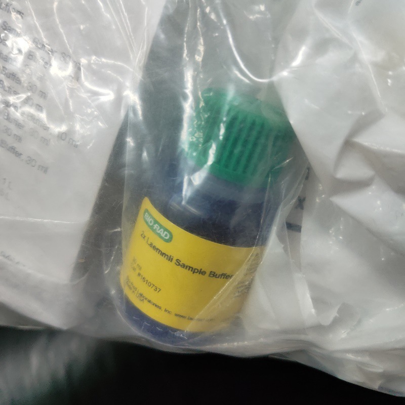 伯乐bio-rad,1610737 2x laemmli样品缓冲液 30 ml/瓶 现货-阿里巴巴