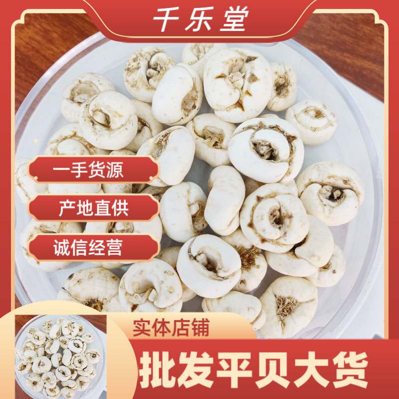 批发东北贝母大货平贝母散装零售大平贝 浙贝母 质量保证量大价优