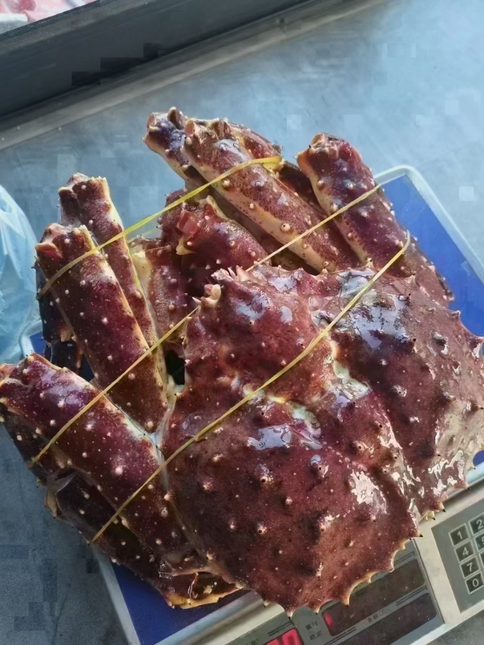 批发代发整只生冻帝王蟹4-5斤每只送礼饱满超低温速冻顺丰包邮